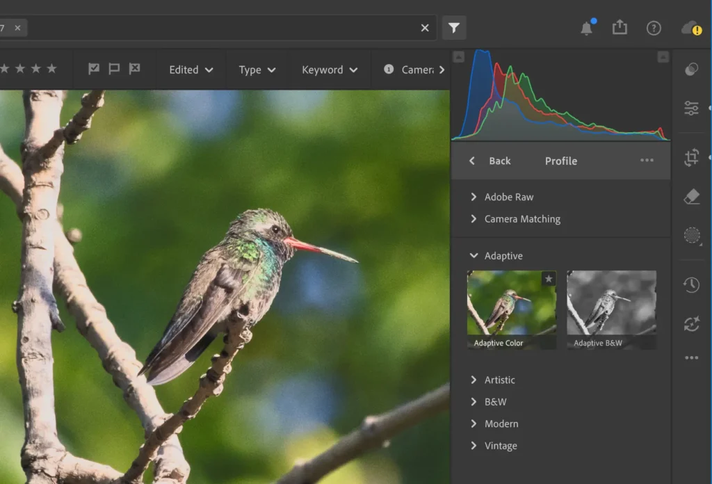 Lightroom Mod APK for PC