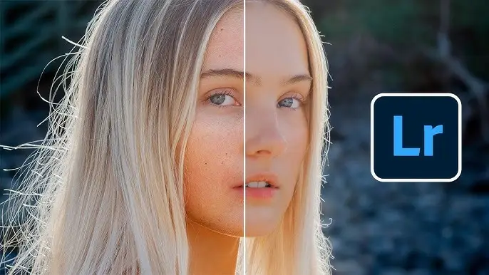 Lightroom Mod APK for PC