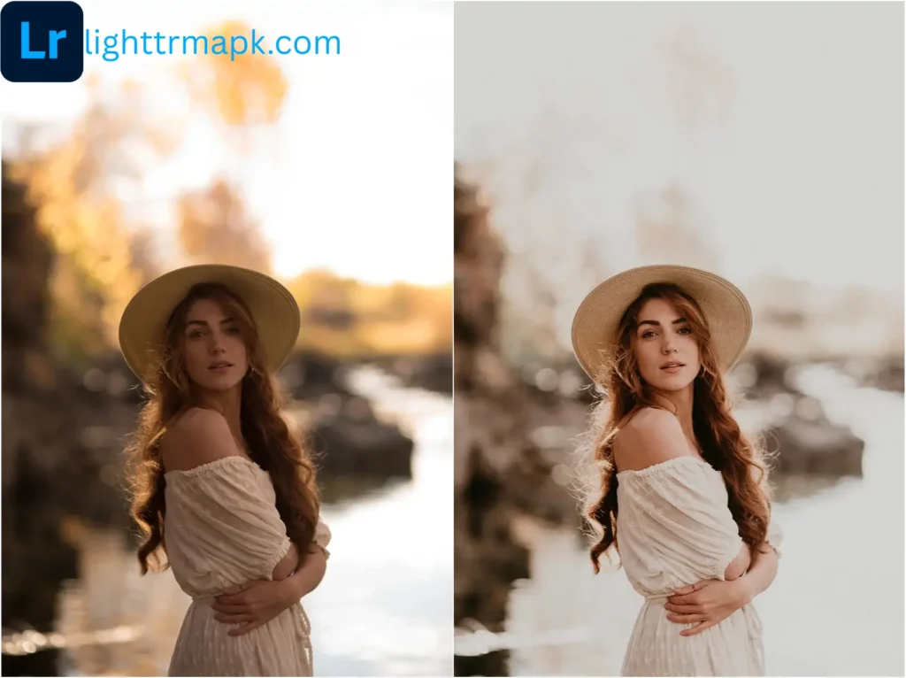 Lightroom Mod APK for PC